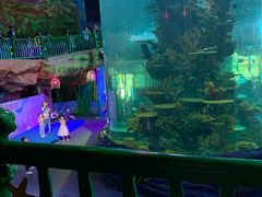 -青岛嘉年华主题乐园