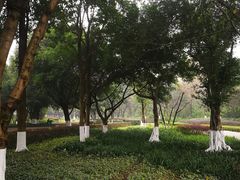 -重庆彩云湖湿地公园