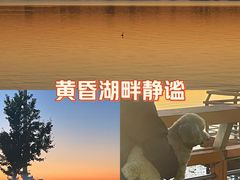 -丁香湖公园