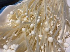 -青瓷火锅料理(西单大悦城店)