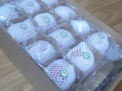 -沈阳市八家子水果批发市场