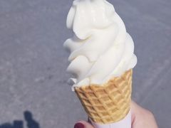 -香雪海
