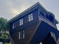-金山农民画村-枫泾波兰倒置屋