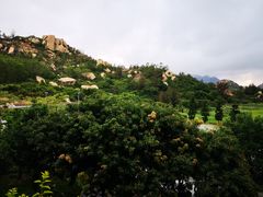 -那琴半岛地质海洋公园
