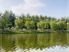 -翠湖国家城市湿地公园