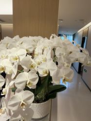 -Yestar杭州艺星医疗美容医院