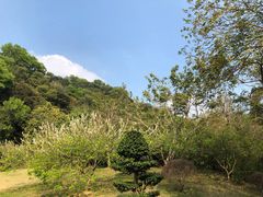 -云溪植物园