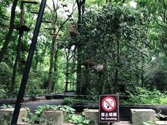 -WeLope紫金山探险公园
