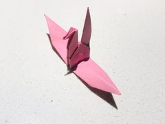 -海底捞火锅(中商百货店)