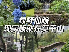 -莫干山风景区
