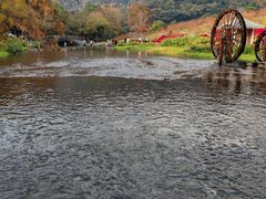 -广州市石门国家森林公园