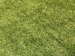 -回龙观体育文化公园