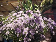 -春暖花开(西溪店)