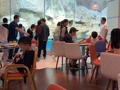 -帝企鹅自助餐厅•儿童岛•真企鹅(长隆企鹅酒店)