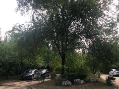 -草场地艺术区