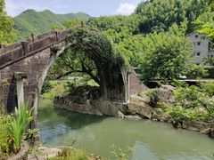 -鹿亭中村