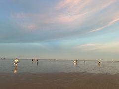 -南汇嘴观海公园