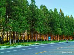 -云龙湖旅游景区