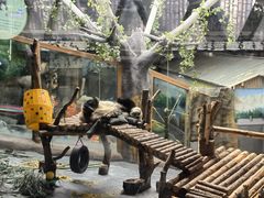 -青藏高原野生动物园