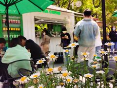 -ALPHA COFFEE阿尔法咖啡(虹莘路店)