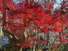 -南京东郊国宾馆