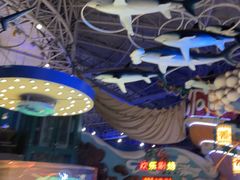 -烟台海昌鲸鲨海洋公园