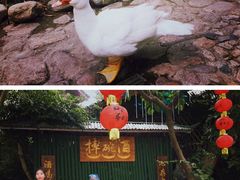 -观澜山水田园
