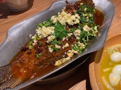 -树厨贵州菜(大十字店)