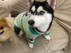 -怪兽屋·羊驼·猫咖·狗咖(俊华广场店)