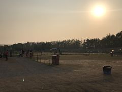 -上海长兴岛郊野公园