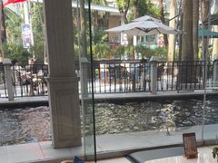 -深圳威尼斯英迪格酒店-邻芙花廊下午茶·NINFA GALLERY·蛋糕·咖啡
