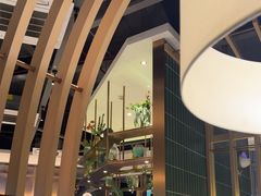-原味四季椰子鸡(平湖天虹店)