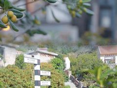 -北岭山森林公园