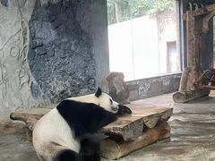 -海南热带野生动植物园