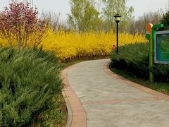 -永定河休闲森林公园