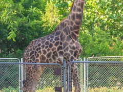 -石家庄市动物园