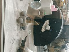-好利来(上海虹桥新天地Lab主题店)