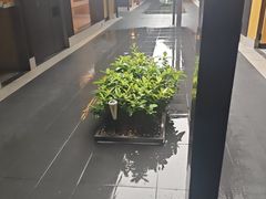 -阿伟海鲜楼·福建菜(涵江店)