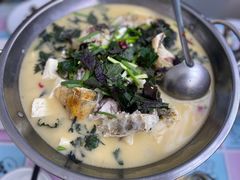 -史记安仁鱼头(浙闽赣食用菌交易中心店)