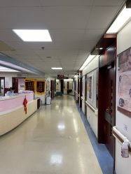 -复旦大学附属妇产科医院(杨浦院区)