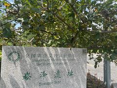 -上海崧泽遗址博物馆