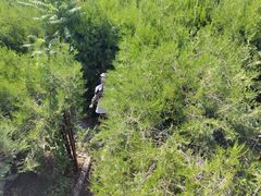 -亲兄弟真人CS团建拓展基地