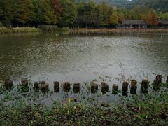 -八卦田遗址公园