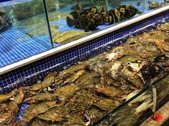 水产区-丰卓会海鲜自助(中润大道店)