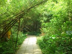 -开平碉楼文化旅游区马降龙景区