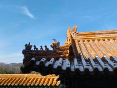 -颐和园