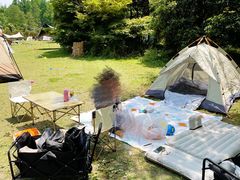 -上海共青森林公园