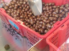 -陈记栗子(长宁路店)