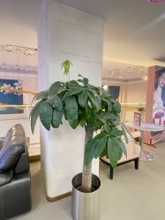 点击看大图 -石家庄苏亚美联臣医疗美容医院