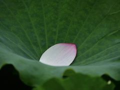 -长广溪湿地公园